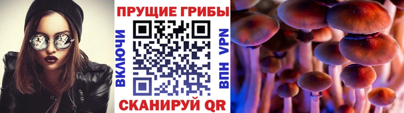 Купить закладки  Добрянка  Псилоцибиновые грибы Psilocybine cubensis 